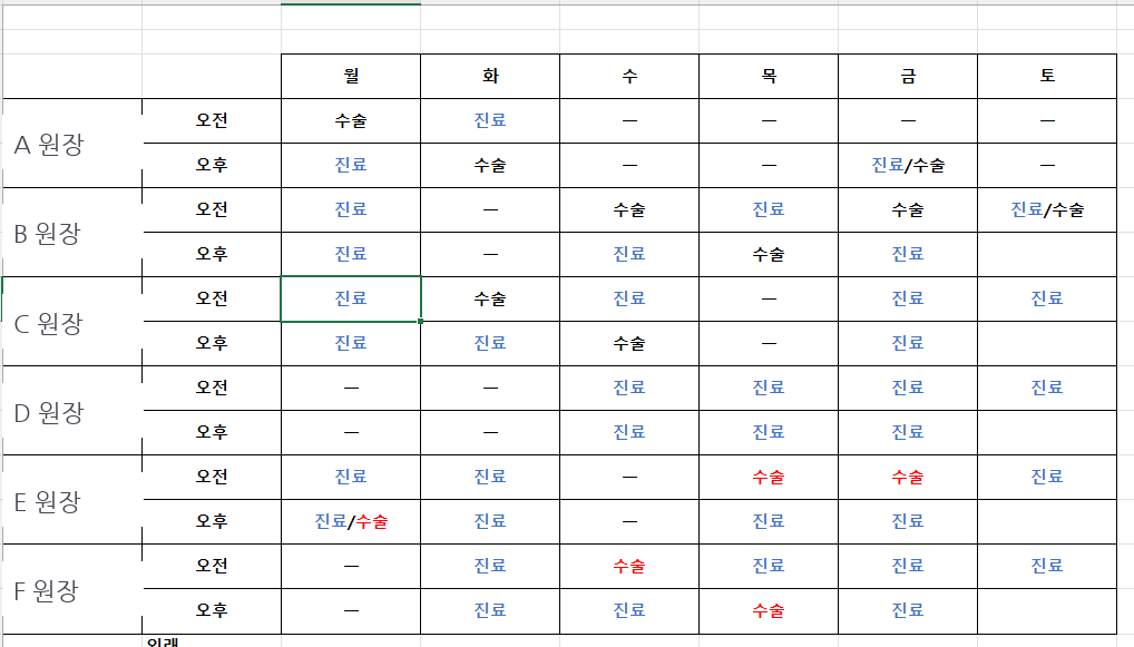 원장별 요일 진료·수술 스케줄표 (원장명 마스킹)